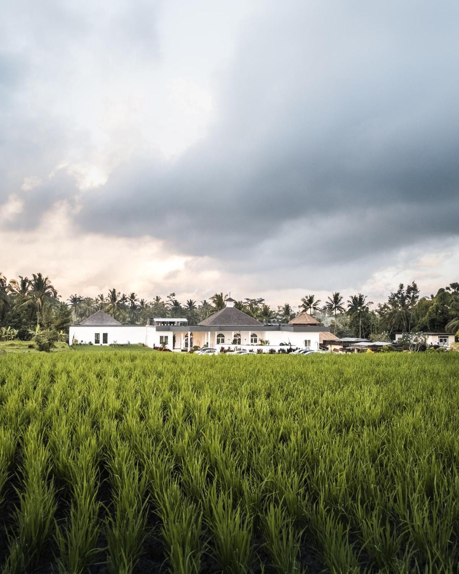Cascades Suites Ubud  Bagian luar foto